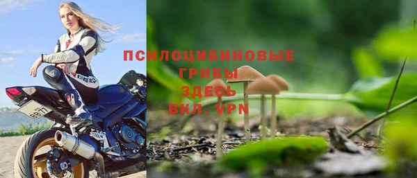 mdpv Армянск